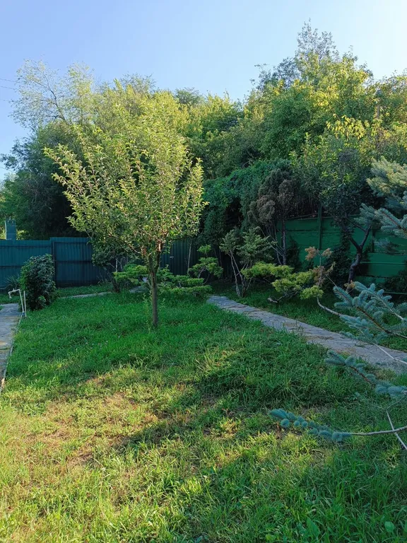 Дом-оазис природы и уюта в центре города