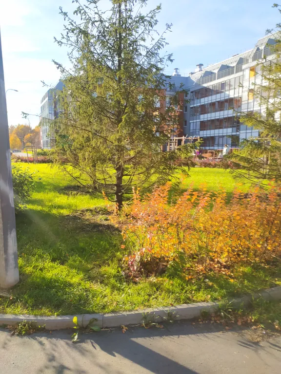 Квартира Уютная и домашняя квартира в Московском районе с фотозоной — Санкт-Петербург