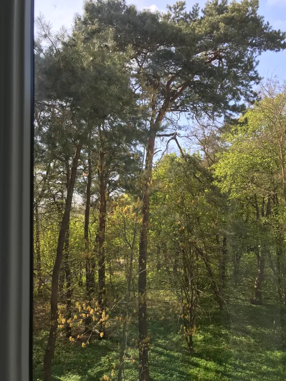 Уютная квартира в двух шагах от моря