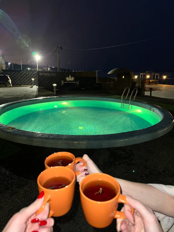 Дом с баней и бассейном на берегу Амура