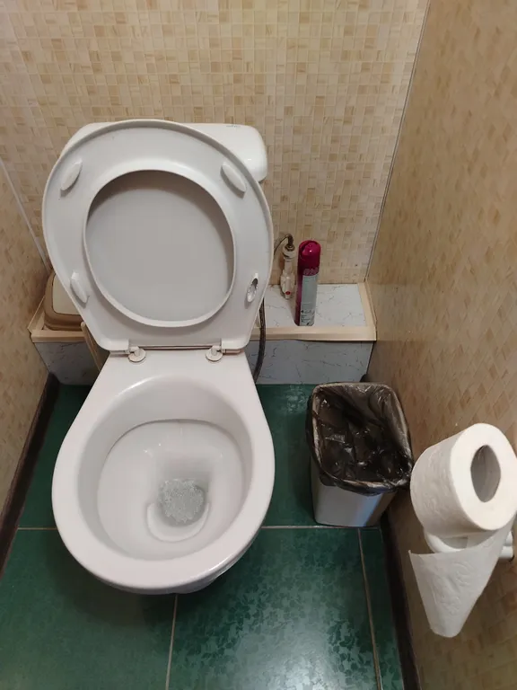 Комната вид на горы