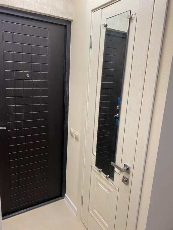 Маленькая студия рядом с лесом