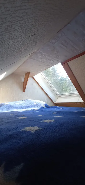 Домик у леса