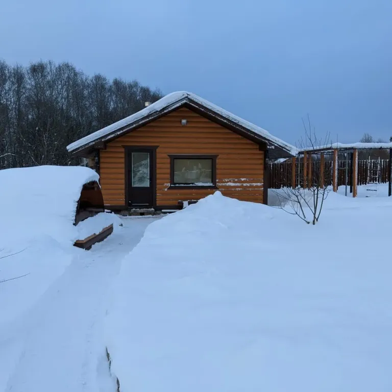 Коттедж Из варяг в греки — Бор