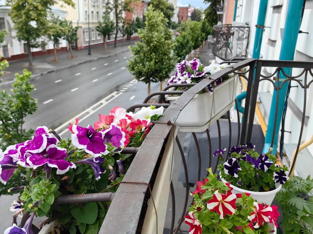 Семейные апартаменты в историческом центре