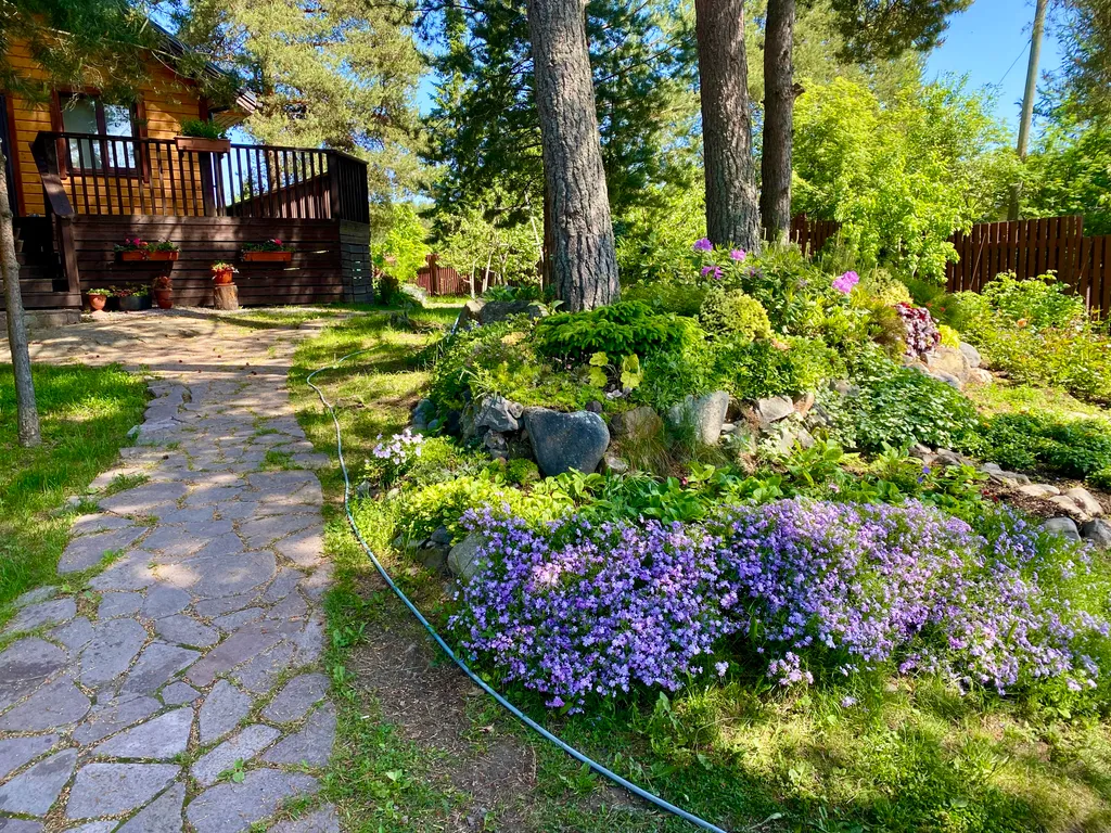 Домик в живописном месте на берегу Ладожского озера