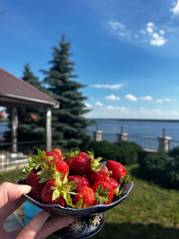 Дом с видом на Волгу