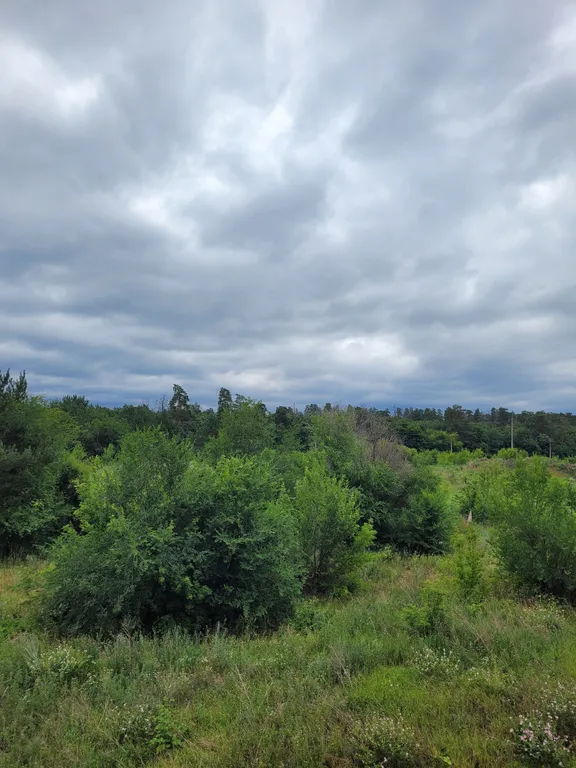 Квартира премиум класса с видом на лес