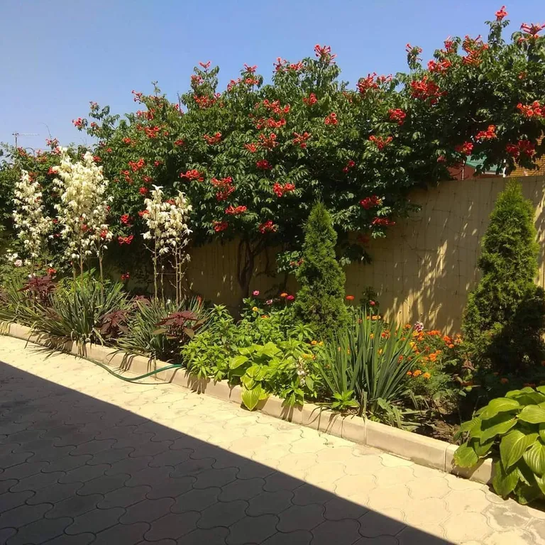 Квартира Уютная квартира в пяти минутах от моря — Голубицкая