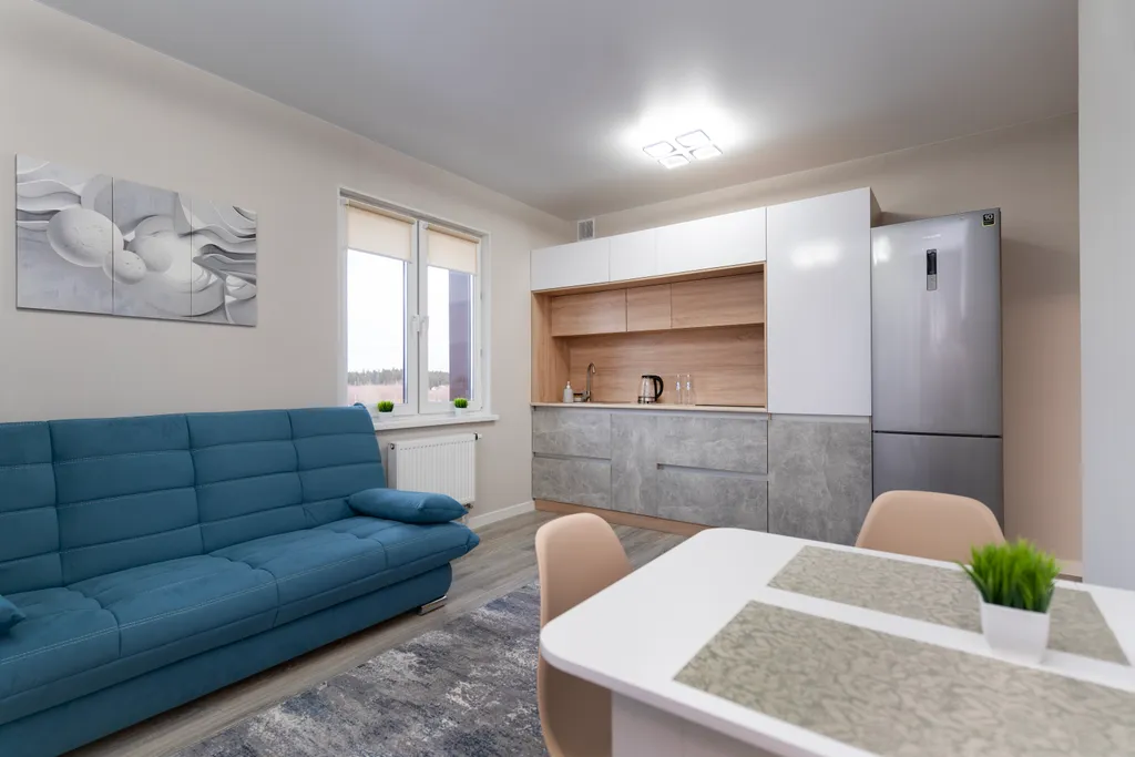 Евро 1-комнатная рядом с Олимпийской Гостиницей