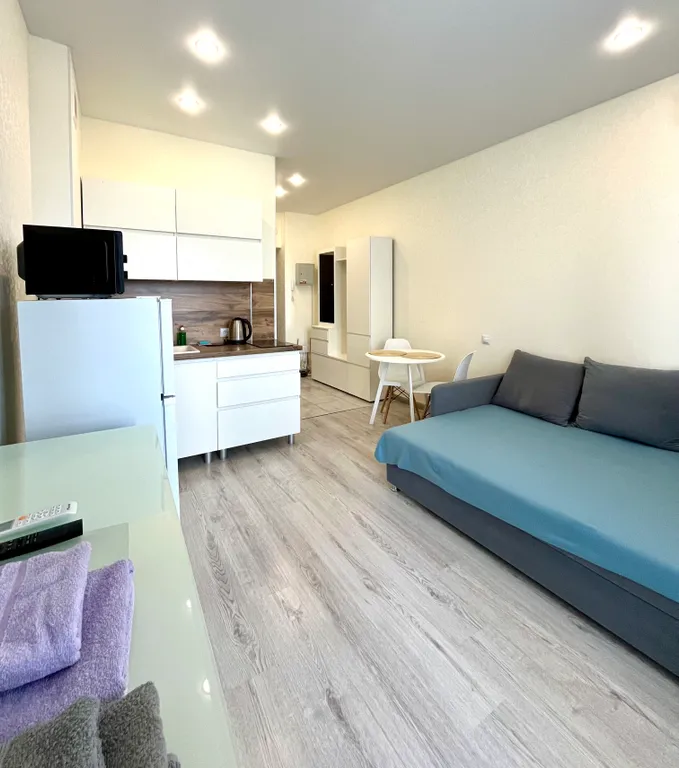 Светлая студия