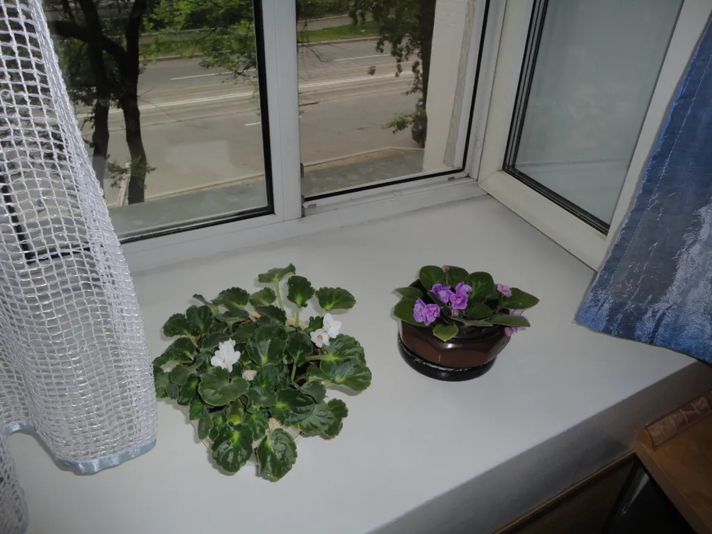 Уютная и чистая квартира в центре рядом с прудами