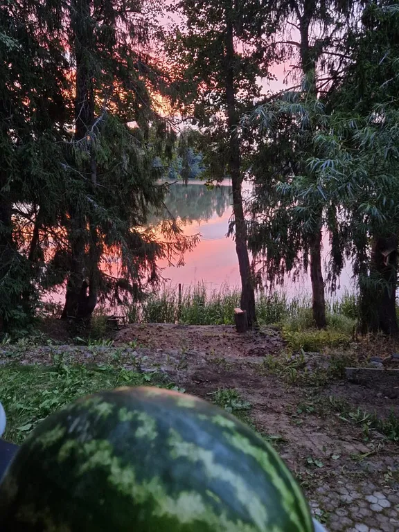 Коттедж Эко-дом у озера: отдых вдали от суеты — Лебяжье