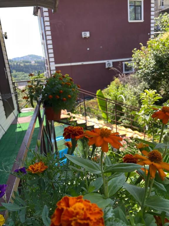 Квартира Квартира Апартамент Platinum с видом на горы — Сочи