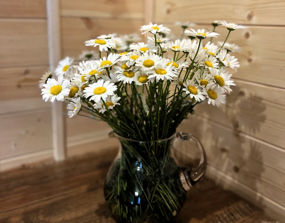 Просторный коттедж с тремя спальнями