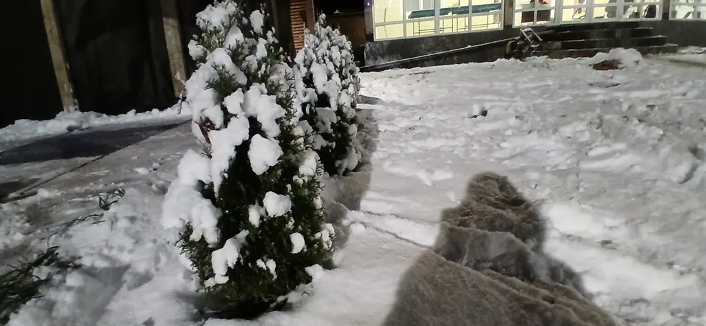 Большой уютный дом