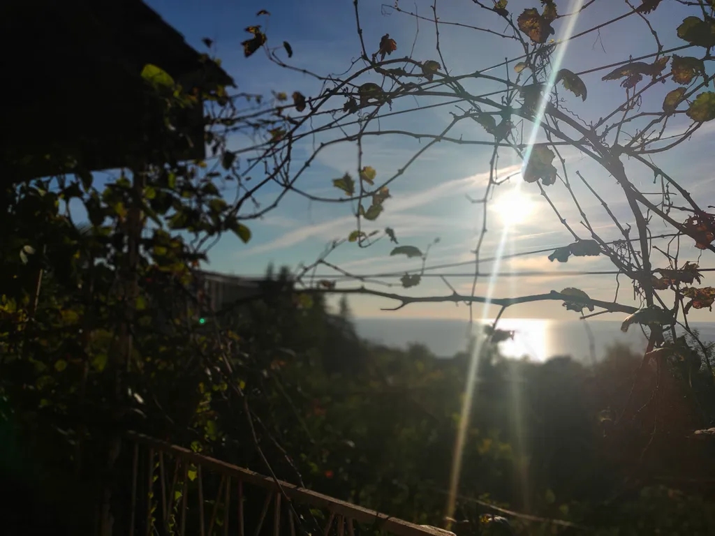 Коттедж 1-комнатный Дом — Сухум