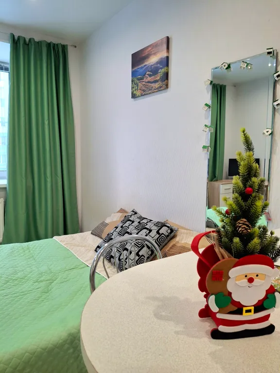 Уютная студия в центре города