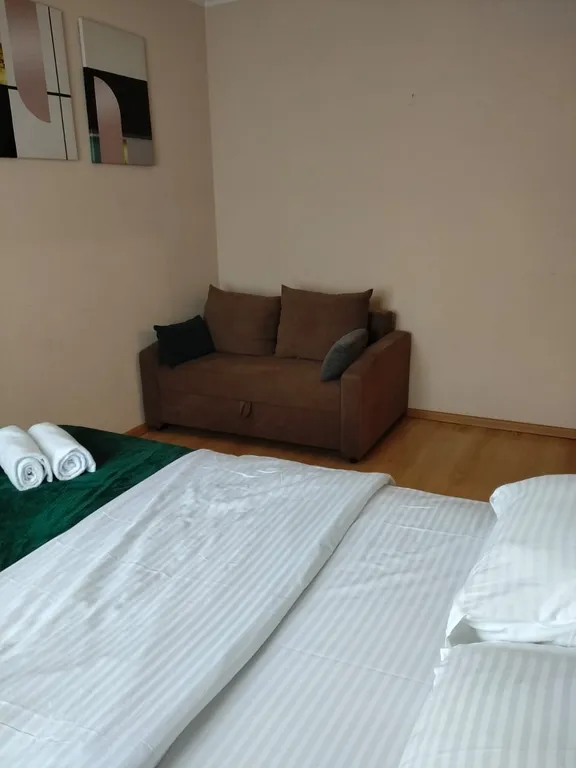 Квартира 2-к. квартира "Глубина" Двушка напротив парка Сады Мечты и Сибирью — Красноярск