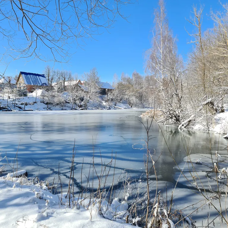 Дом на семи прудах