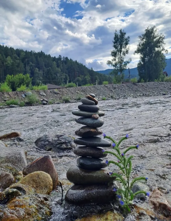 Дом на берегу реки чемал