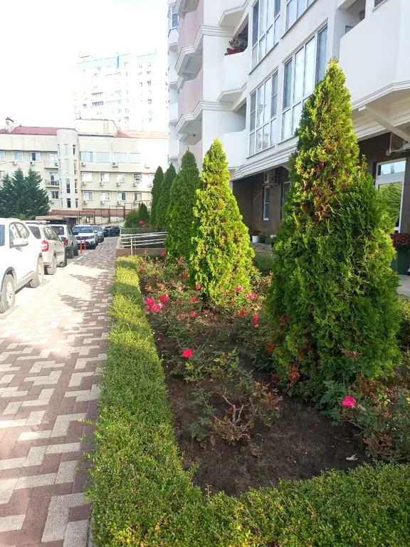 Квартира Квартира Студия для двоих в Мацеста парке — Сочи