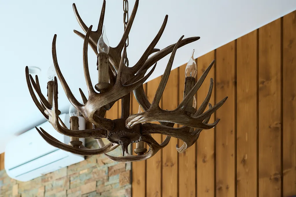 Коттедж Барнхаус с баней, видом на лес — Истра