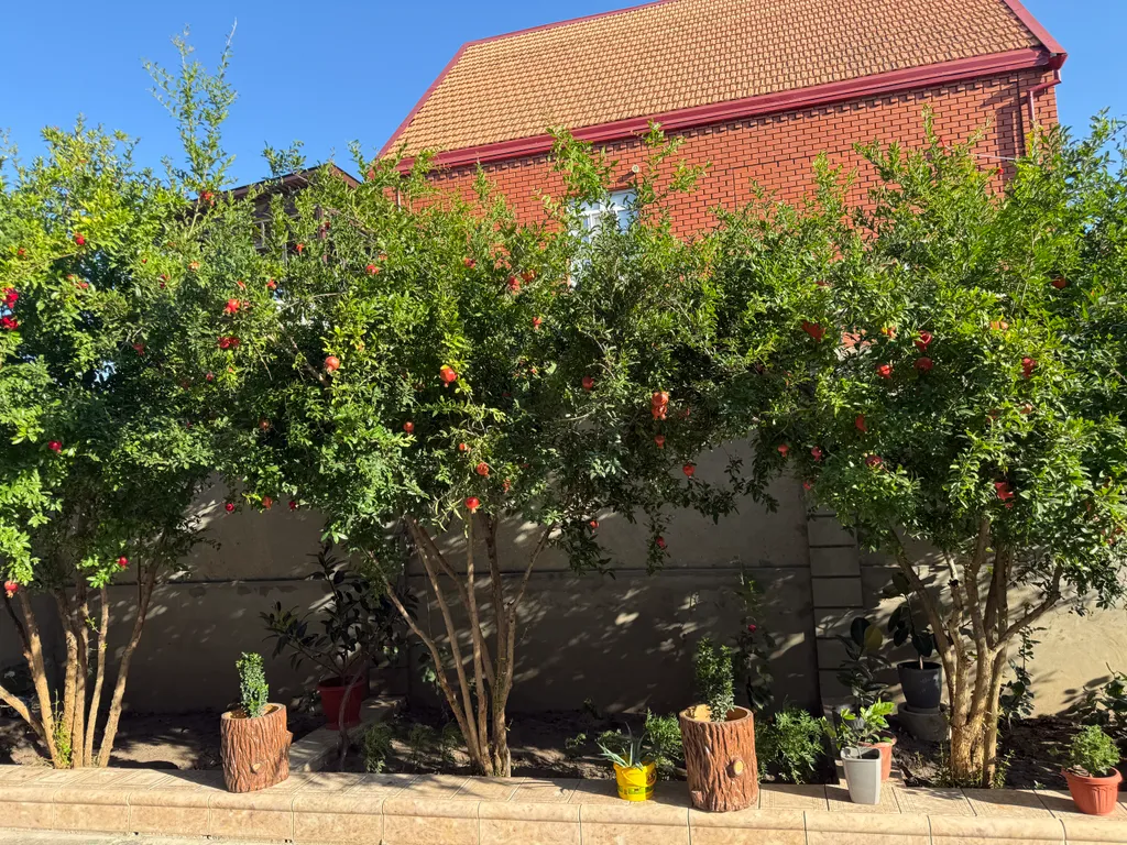 Просторное жилье со всеми удобствами