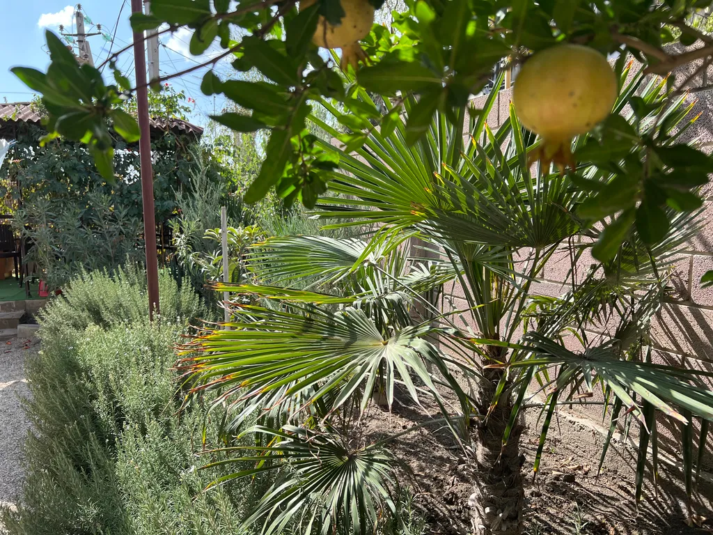 Двухкомнатный дом с кухней на 2 этаже