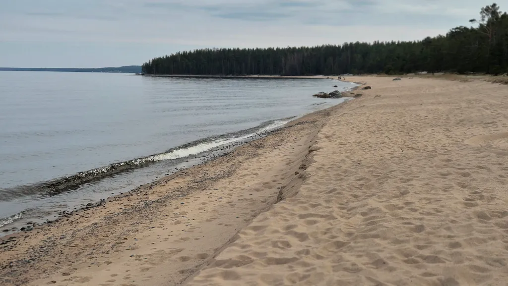 Коттедж Уютнейший дом с роскошным видом на озеро и пляжем.Карелия совсем рядом — Ларионово