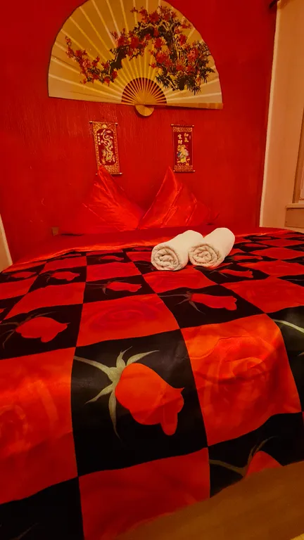 Апартаменты на Черном море с выходом в Карликовую рощу