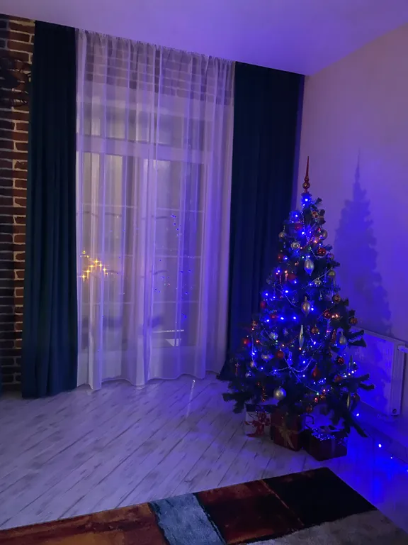 Квартира Квартира Раушен-Апарт — Светлогорск