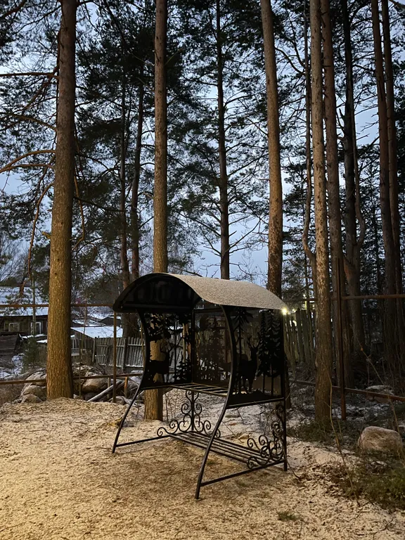 Уютный дом с живописным видом на лес