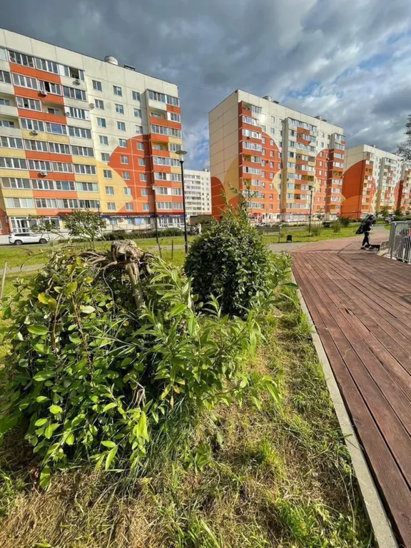 Все рядом - Акрон Форум и Областная больница