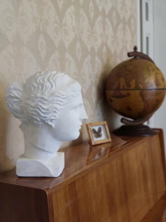 Квартира Квартира с видом на фонтан и анфиладой из трех комнат в центре города — Санкт-Петербург