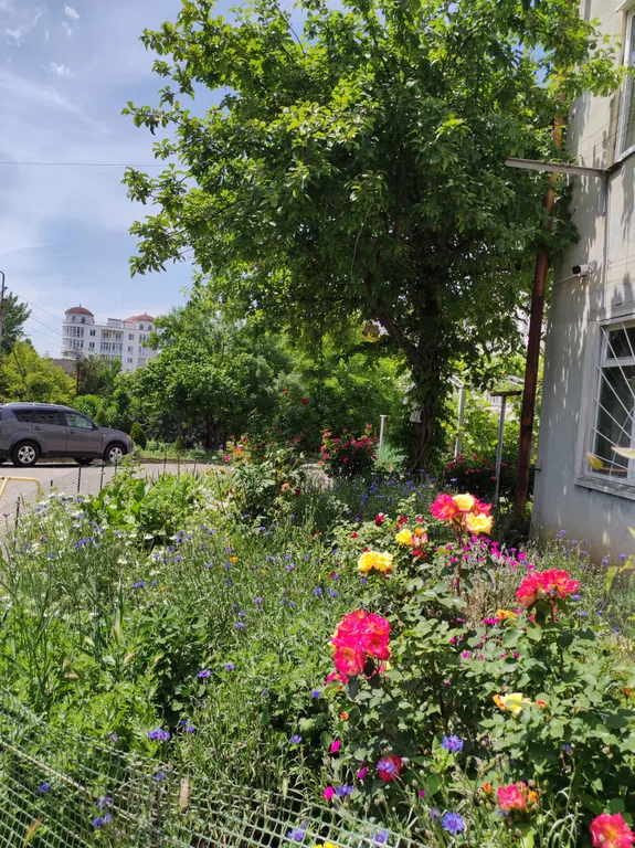 Уютная квартира, как у себя дома