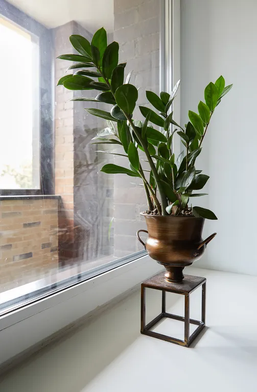 Апартамент в центре Классик