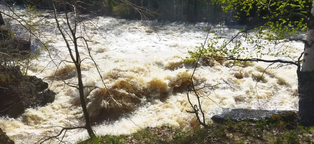 Апартаменты с видом на реку