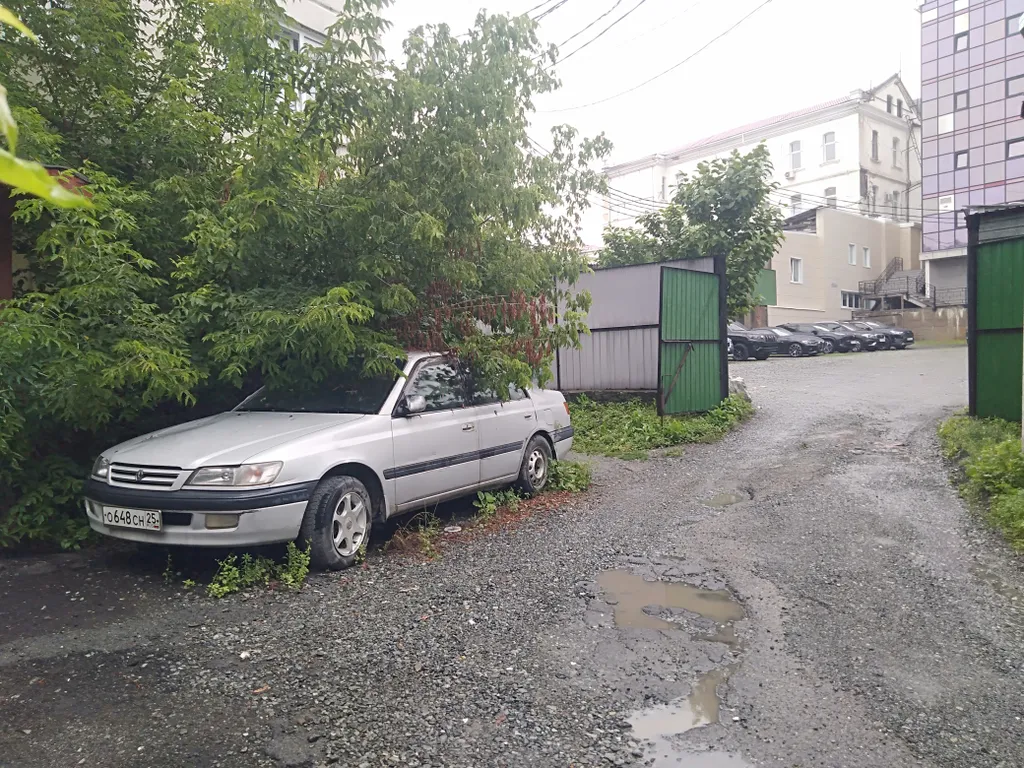 Центральный район, Море 10 минут пешком