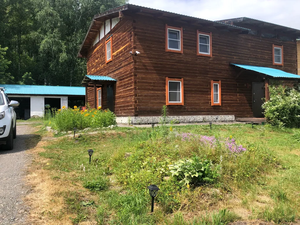 Комната с видом на березовый лес