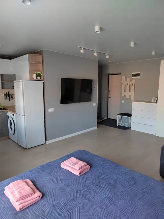 Уютная квартира-студия в самом центре города