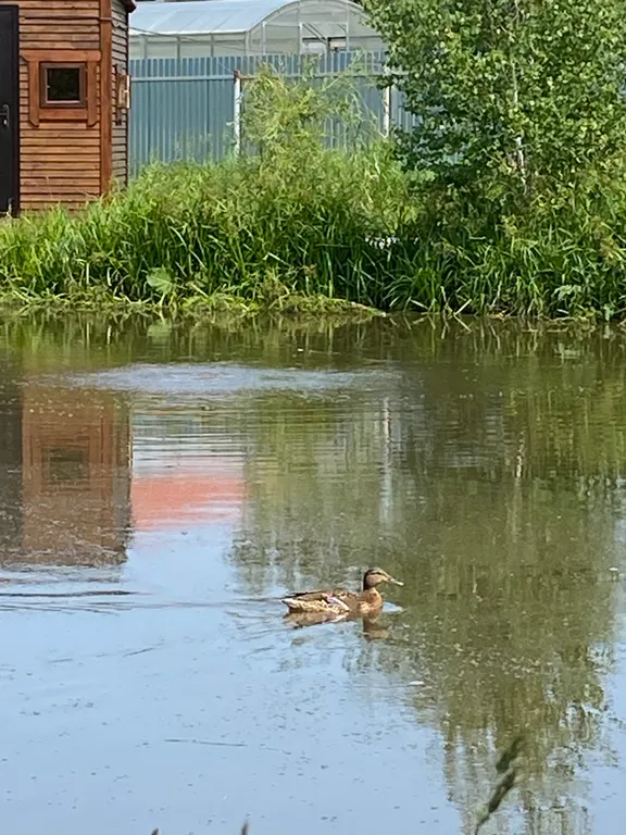 Дом у озера