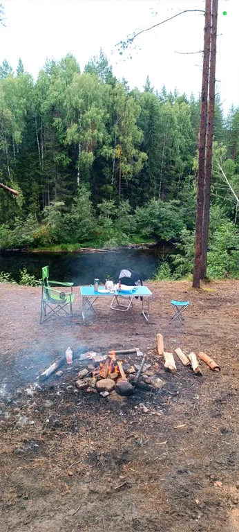 Уютный гостевой дом в лесном просторе