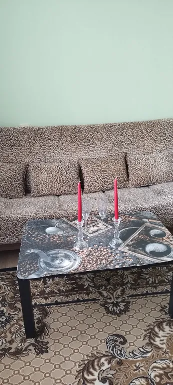 Квартира Вместительные апартаменты — Омск