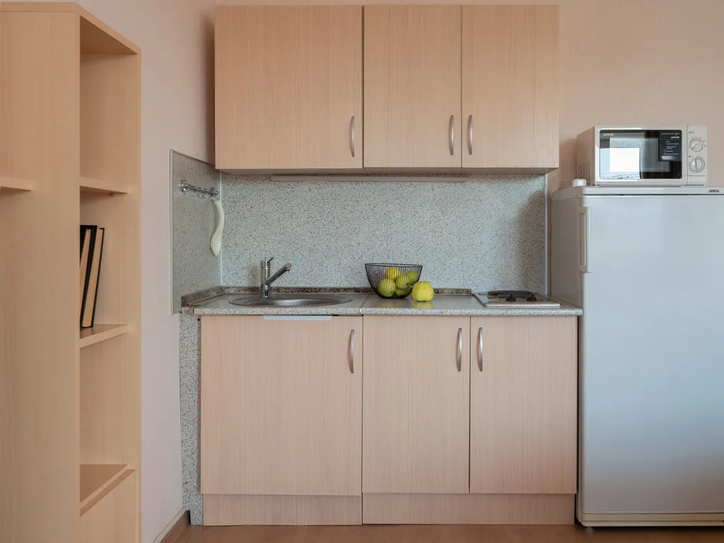 Просторная студия в пригороде Лесное