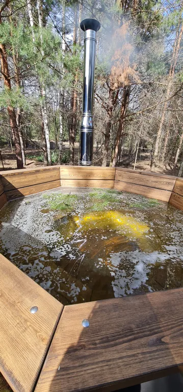 Гостевой дом в лесу Lesavuhka