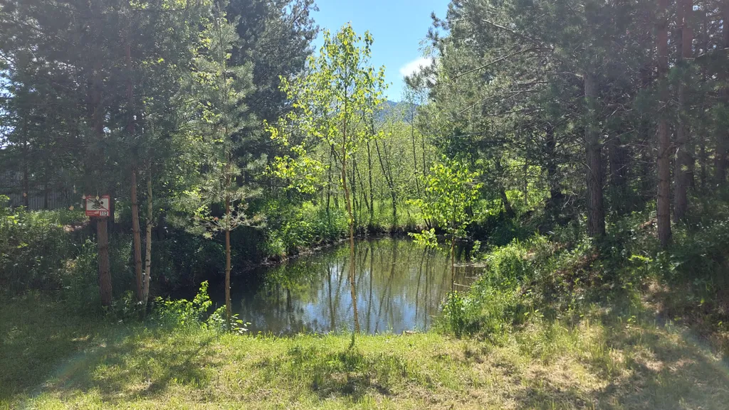 Уютный тихий домик