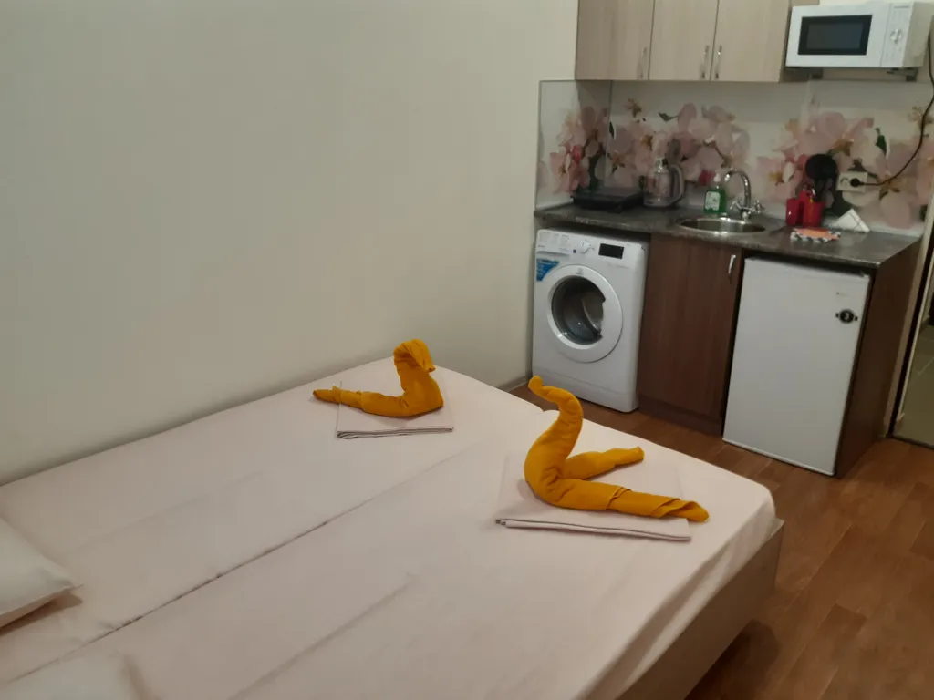 Двухместная студия в Гостевом доме Домашний