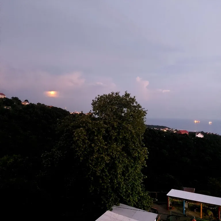 Студия с окном на море