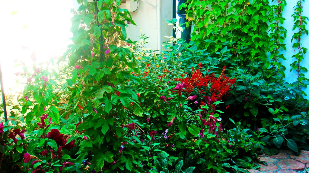 Коттедж 3-х комнатный дом в центре — Феодосия